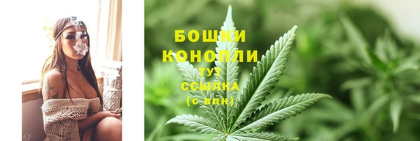 мет Бердск
