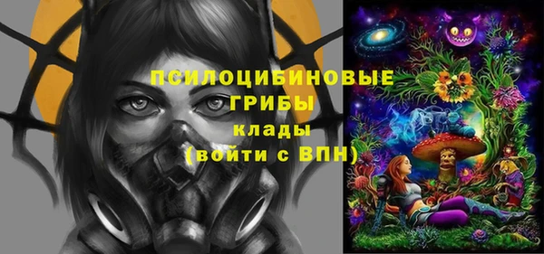 соль ск Волосово