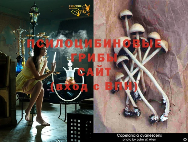 Альфа ПВП Волоколамск