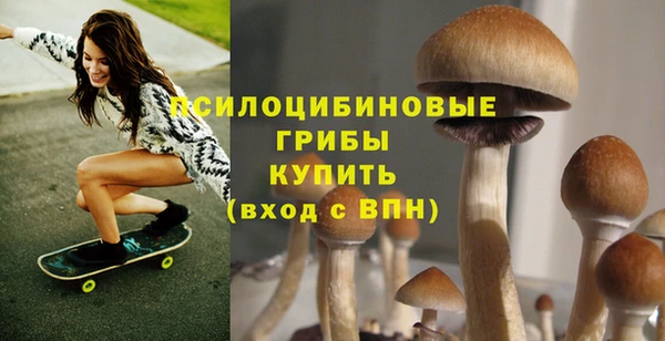 альфа пвп Ачинск