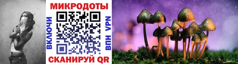 где продают   Горбатов  Псилоцибиновые грибы мицелий 